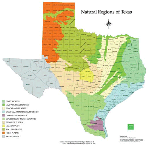 Map of Texas ecoregions