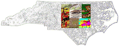 Black and white topographical map of North Carolina with a collage of photographs superimposed on top. The photographs are of various plants and wildlife.