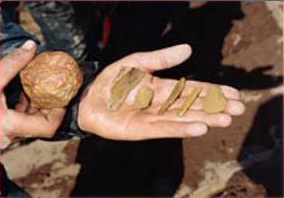 Jasper artifacts uncovered at 11,500 year old Brook Run Paleo-Indian site as part of Virginia DOT's 1998 cultural resources survey. Photo courtesy of the Virginia DOT