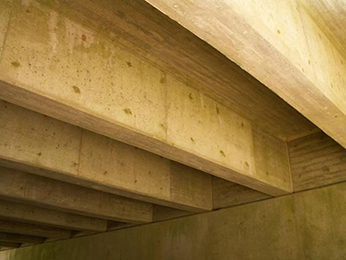 Photograph of the underside of a bridge, showing reinforced concrete T-Beams