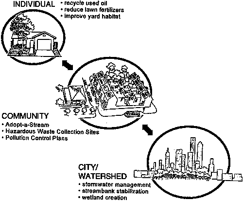 On individual level: recycle used oil, reduce lawn fertilizers, improve yard habitat. On community level: adopt-a-stream, hazardous waste collection sites, pollution control plans. On city/watershed level: stormwater management, streambank stabilizatin, wetland creation.