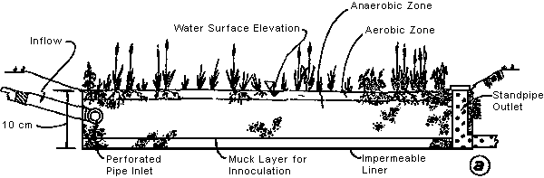 Total depth is 10 cm, inflow is through perforated pipe into anaerobic zone, outflow is through perforated standpipe. Layers from the top are: water surface elevation, aerobic zone, anaerobic zone, muck layer for innoculation, and impermeable liner. Wetland plants are through the aerobic zone and into the anaerobic zone.