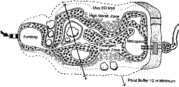 Inflow is into forbay, eventual outflow is through micropool. Diagram shows emergent marsh zone, high marsh zone, and max. ED limit. Pond buffer 10 m min.