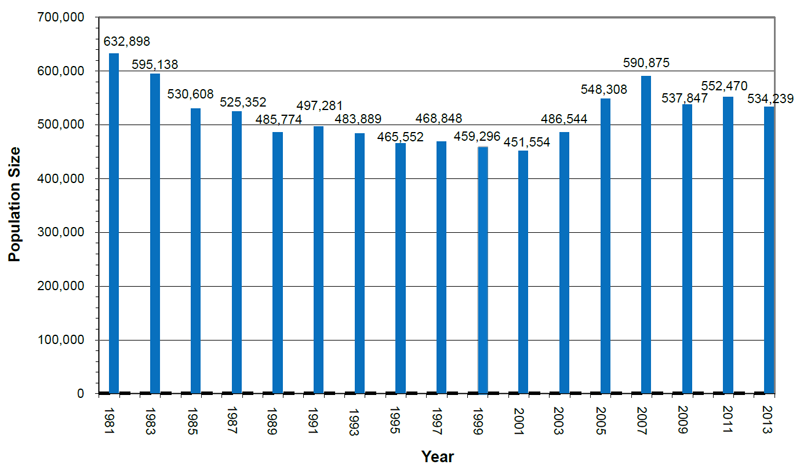 vertical bar chart displaying Indiana Bat Rangewide Population Estimates from 1981-2013: 632,898 in 1981; 595,138 in 1983; 530,608 in 1985; 525,352 in 1987; 485,774 in 1989; 497,281 in 1991; 483,889 in 1993; 465,552 in 1995; 468,848 in 1997; 459,296 in 1999; 451,554 in 2001; 486,554 in 2003; 548,308 in 2005; 590,875 in 2007; 537,847 in 2009; 552,470 in 2011; and 534,239 in 2013