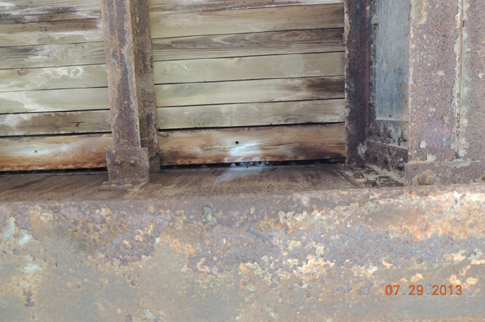 photo of NLEBs roosting between the bridge structure and the bridge's timber deck