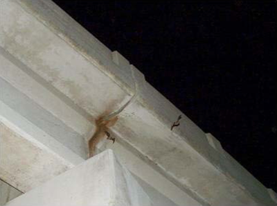 photo of the underside of a bridge's expansion joint stained from bat use