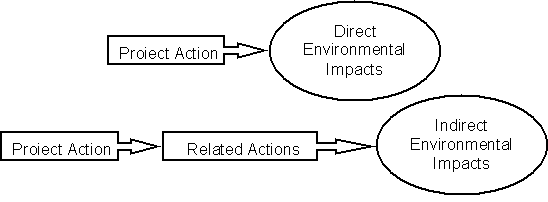 flow chart: Project Action leads to Direct Environmental Impacts. Second Line: Flow chart: Project Action leads to Related Actions leads to Indirect Environmental Impacts