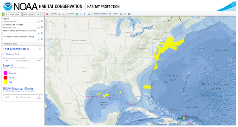 Screenshot from NOAA's EFH Mapper tool which is displaying a map of the Albacore Tuna essential fish habitat, which is along the U.S.'s eastern seaboard, in the Gulf of Mexico and north of Puerto Rico