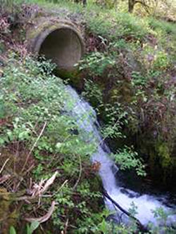 Photograph of the culvert