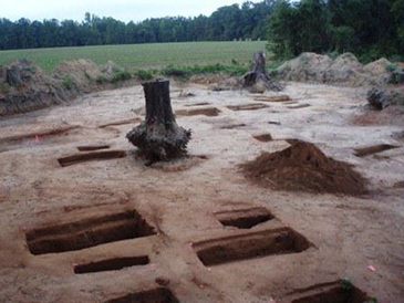 Photograph of the unmarked cemetary, showing several dug-out rectangular burial holes