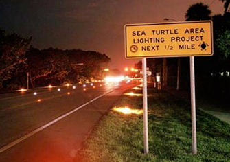 Photograph of State Road A1A at night, showing the illuminated embedded lighting and a roadside sign that reads 'Sea Turtle Area: Lighting Project: Next 1/2 Mile'