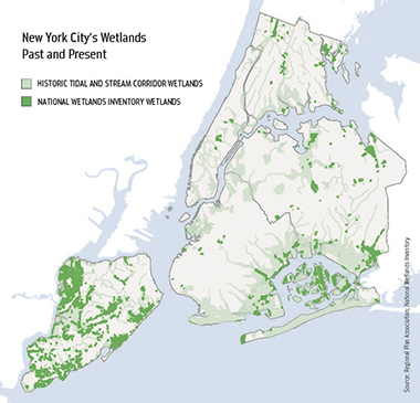 Map of New York City, as described in the following paragraph, shows the loss of wetlands over time
