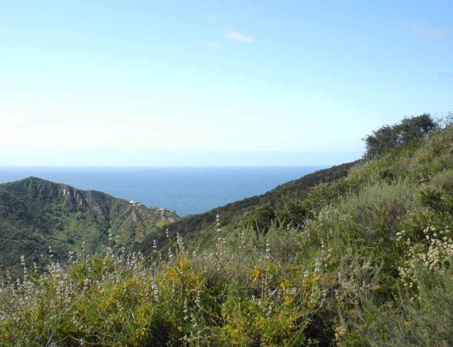 large hills covered with vegetation