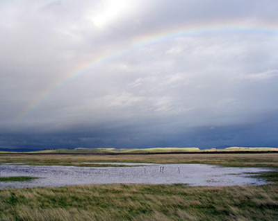 Photograph looking across a large Madera vernal pool with a rainbow arching over it and stormclouds in the distance