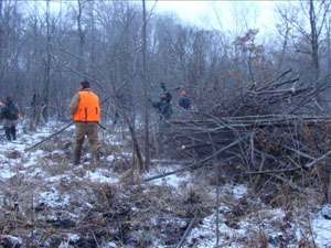 Shrub Removal at Blue Creek Fen, 2009