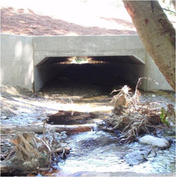 Photo of a fish passage project after utilizing the stream simulation design method