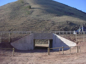 Deer underpass constructed in 2008